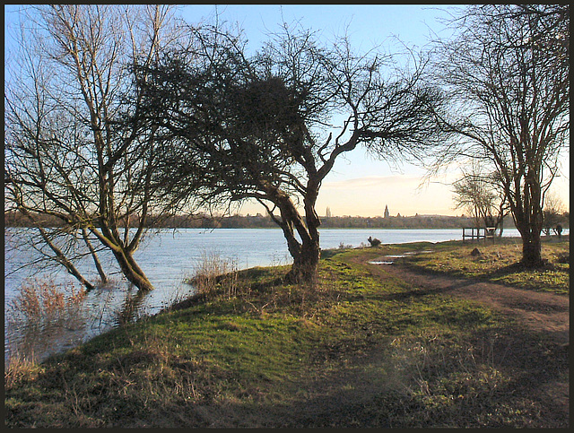 Thames Path in January
