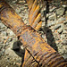 Rusty Cable