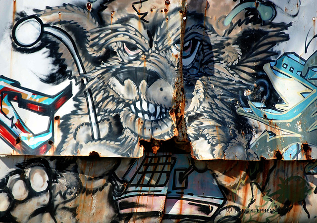 Junkyard Graffiti