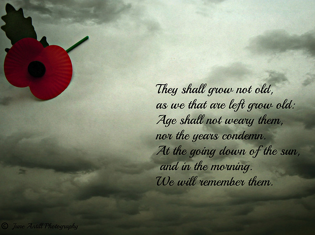 We will remember them.