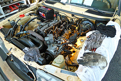 Mercedes-Benz OM617 turbodiesel engine bay