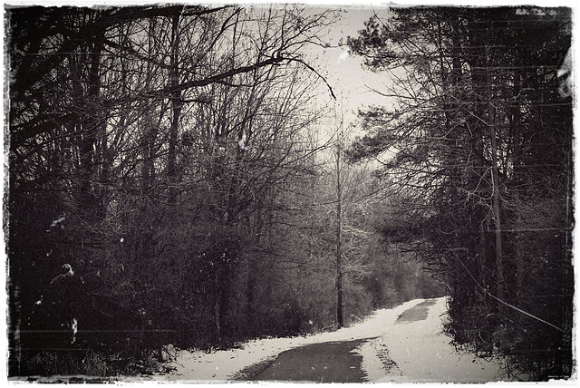 Winter Trail
