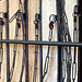 Heritage Open Days 2012 X10 Guildford Royal Grammar School Chained Library 16