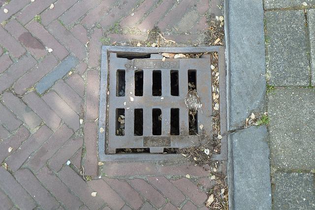 1937 drain cover of the town of Velsen