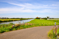 Dutch polder landscape between Zoeterwoude and Zoetermeer