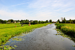 Dutch polder landscape between Zoeterwoude and Zoetermeer