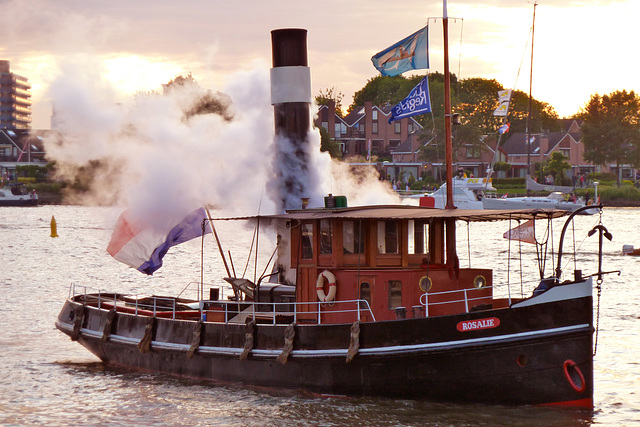 Dordt in Stoom 2012 – Rosalie blowing its steam whistle