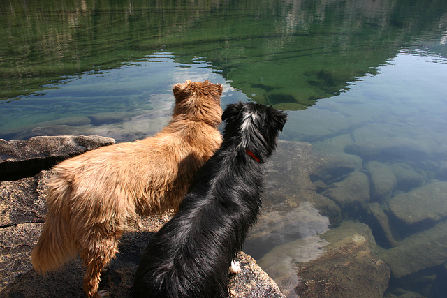 Cole & Jack at Green Lake