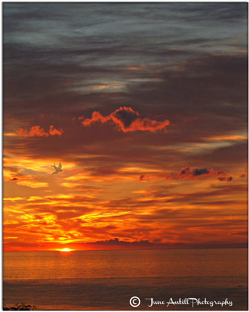 North Sea Sunsets