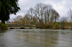 River Avon at Ringwood