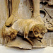 Leipzig – Knight standing on top of a dog