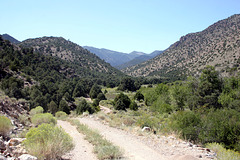 The Road up Eden Creek