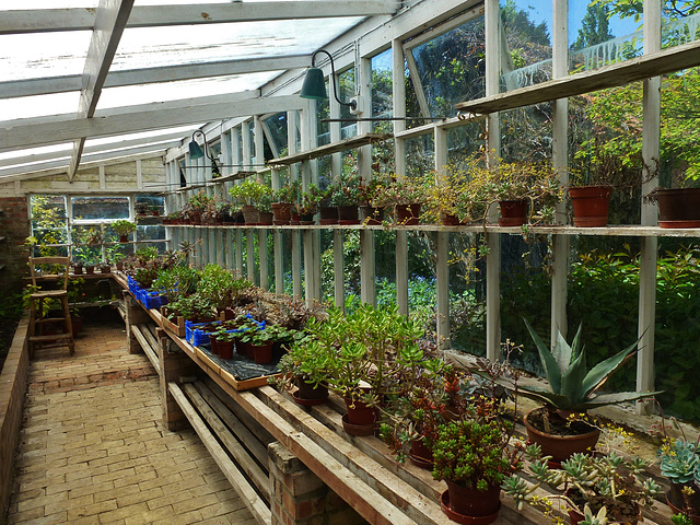 eastern greenhouse