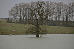 Flooded fields near Wimborne, Dorset