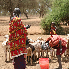 Shampoo Maasai style