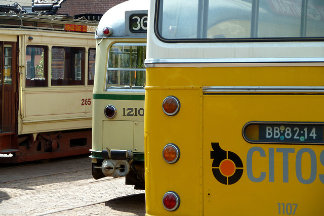 Bus and tram