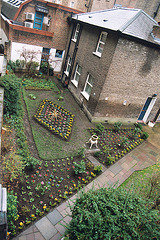 Garden in London