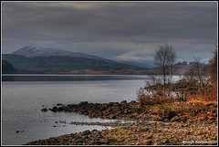 Scotland, lochside view