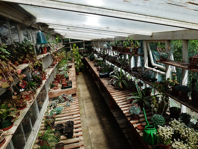 western greenhouse
