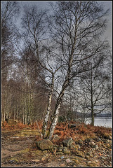 On the shore of Loch Garry