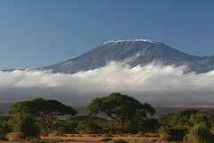 Clouds below Mt. Kilimanjaro