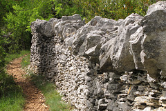 Splendeur de mur, vers Marcihac (vallée du Célé), Lot, France