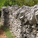 Splendeur de mur, vers Marcihac (vallée du Célé), Lot, France