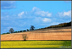 Vibrant countryside colours!