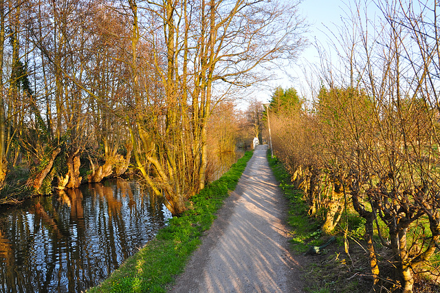 Path near the Houtmankade in Haarlem