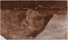 First calotype