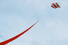 Go fly a kite - 4