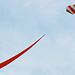 Go fly a kite - 4