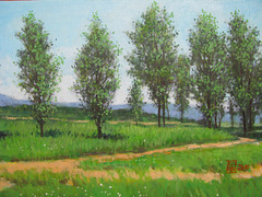 Landscape with Trees=Pejzagxo kun Arboj=나무들이 있는 풍경=林間風景_oil on canvas=olee sur tolo_33.4x45.5cm_2011_HO Song