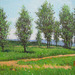 Landscape with Trees=Pejzagxo kun Arboj=나무들이 있는 풍경=林間風景_oil on canvas=olee sur tolo_33.4x45.5cm_2011_HO Song