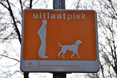 Dog walking area for sedate dogs & waiting dog owners