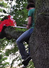 Leidens Ontzet 2011 – In the tree