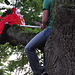 Leidens Ontzet 2011 – In the tree