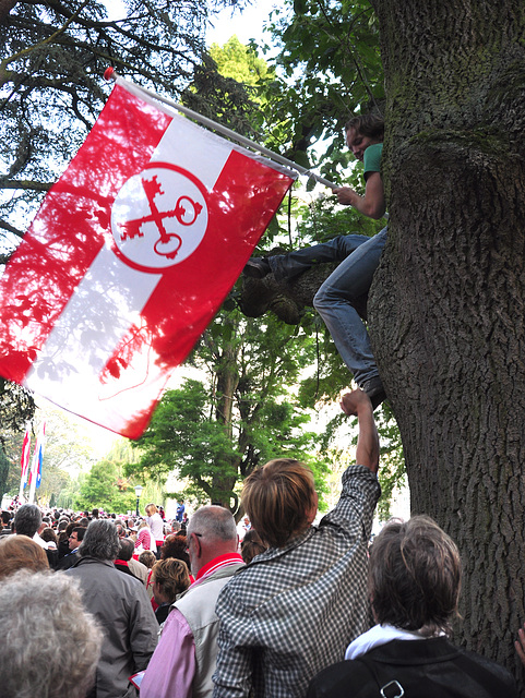 Leidens Ontzet 2011 – In the tree and flying the flag