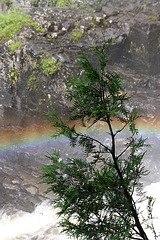 Rainbow over the falls (Explored)