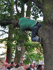 Leidens Ontzet 2011 – Climbing out of the tree