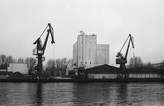 Cranes in Rendsburg, Germany
