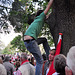 Leidens Ontzet 2011 – Climbing a tree to get a better view