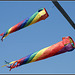 Kite - Southea Kite Festival