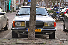 1982 Mercedes-Benz 230 CE and tree