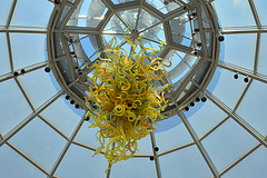 Chihuly's "Goldenrod, Teal and Citron" Chandelier – Rotunda, Phipps Conservatory, Pittsburgh, Pennsylvania