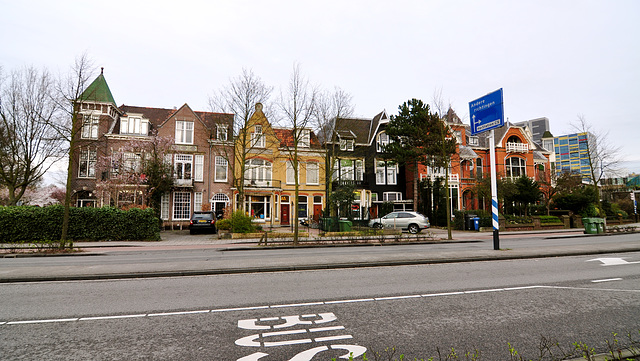 Colourful houses on the Rijnsburgerweg in Leiden