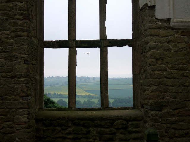 Window, Hardwick Old Hall