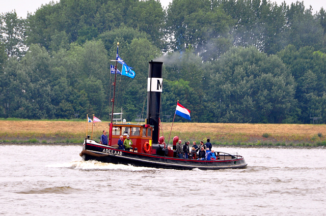 Dordt in Stoom 2012 – Steam tug Adelaar