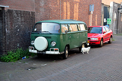 1970 Volkswagen van with matching cat