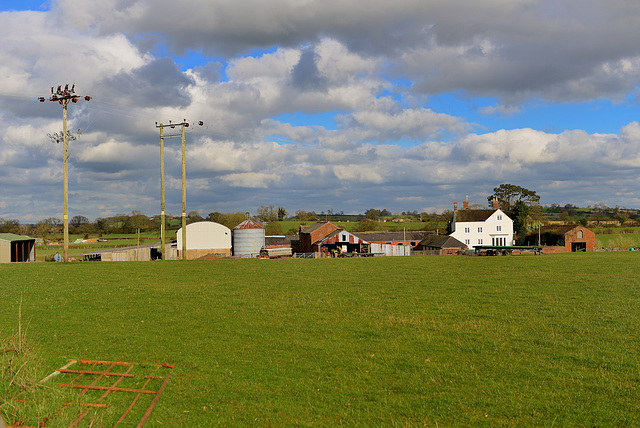 Fields near Haughton, Staffordshire